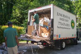 Best Same-Day Junk Removal Services  in Pleasant View, TN